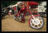 Harley - 4